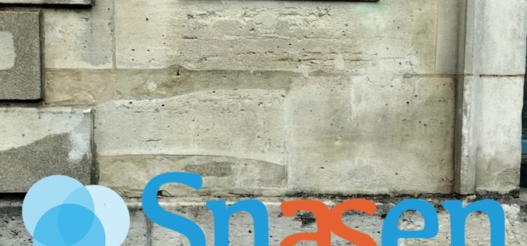 Audience du SNASEN UNSA au ministère de l’Enseignement supérieur Audience du SNASEN UNSA au ministère de l’Enseignement supérieur